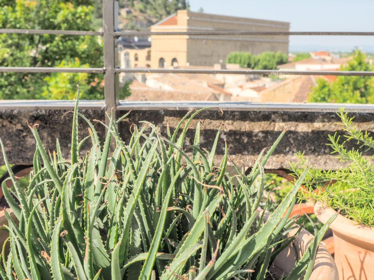 Le Rooftop - Vue incroyable sur le Théatre Antique Orange  Exterior foto